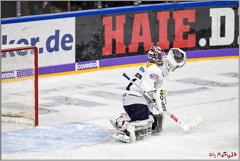 DEL, Koelner Haie - Eisbaeren Berlin, 24.10.2017