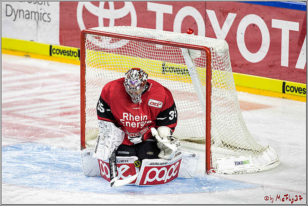 DEL, Koelner Haie - Adler Mannheim, 29.10.2017
