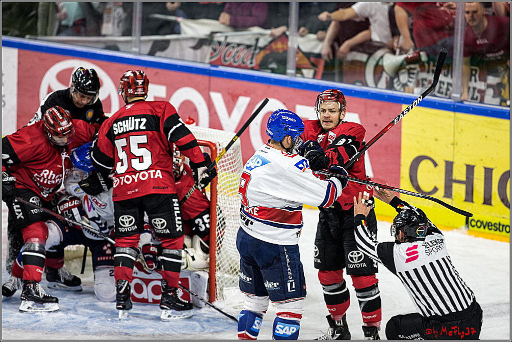 DEL, Koelner Haie - Adler Mannheim, 29.10.2017