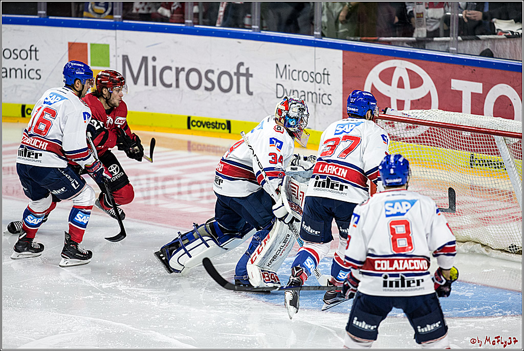 DEL, Koelner Haie - Adler Mannheim, 29.10.2017