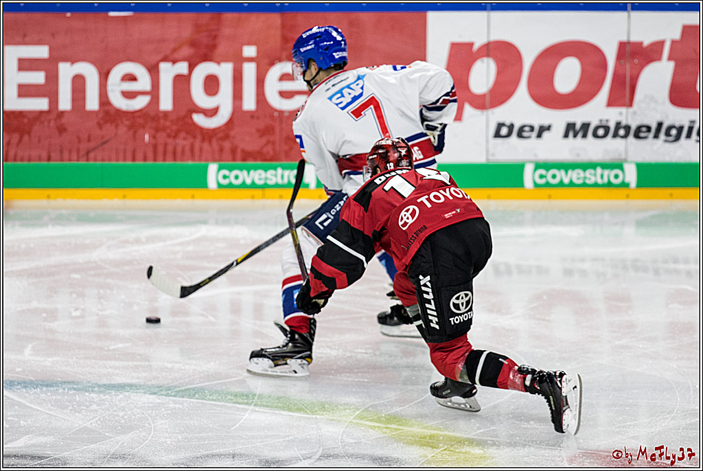 DEL, Koelner Haie - Adler Mannheim, 29.10.2017