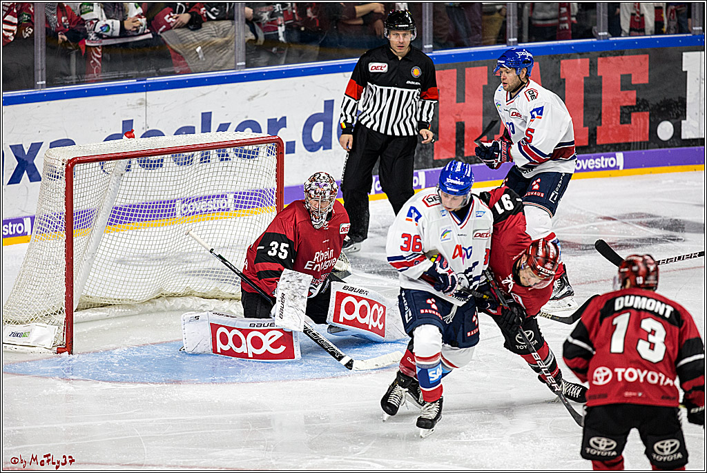 DEL, Koelner Haie - Adler Mannheim, 29.10.2017