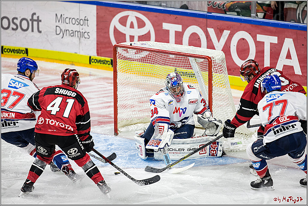DEL, Koelner Haie - Adler Mannheim, 29.10.2017