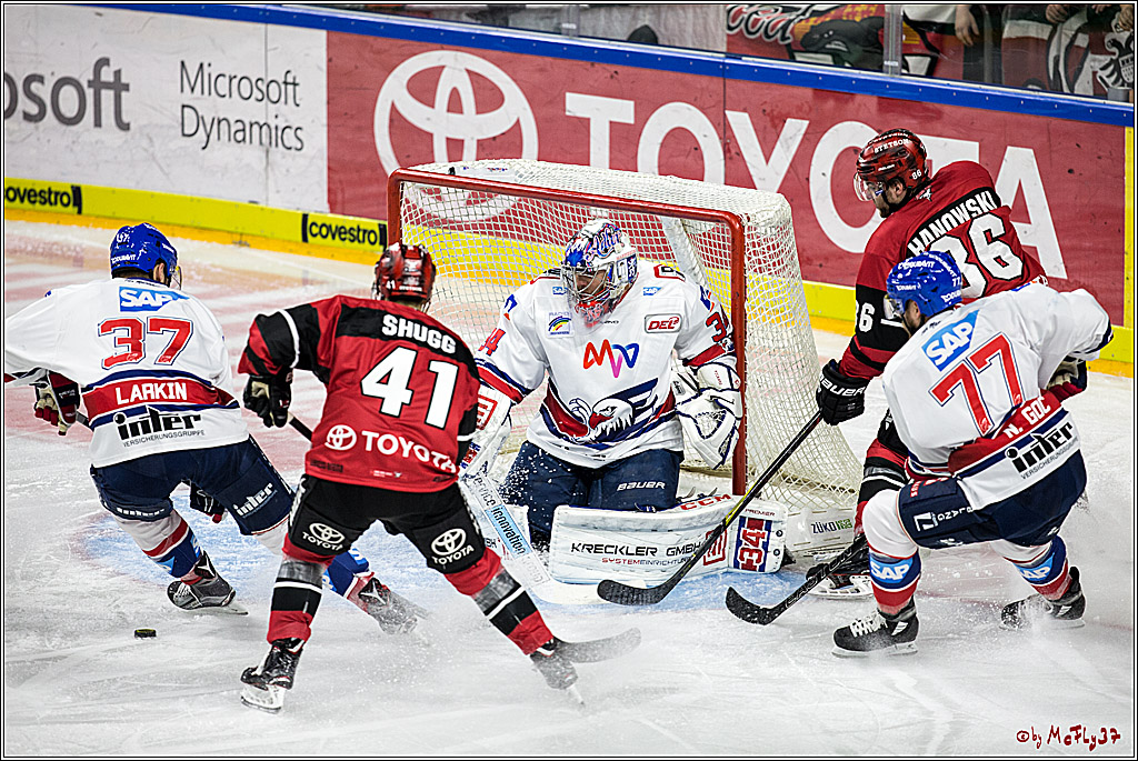 DEL, Koelner Haie - Adler Mannheim, 29.10.2017