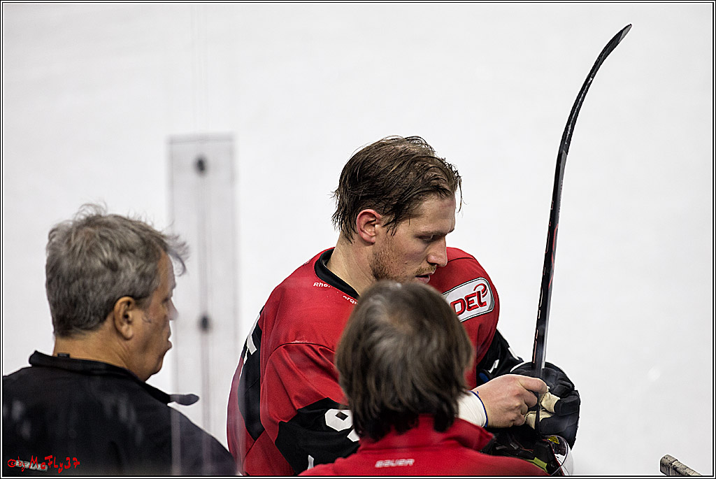 DEL, Koelner Haie - Adler Mannheim, 29.10.2017