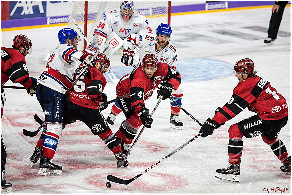 DEL, Koelner Haie - Adler Mannheim, 29.10.2017