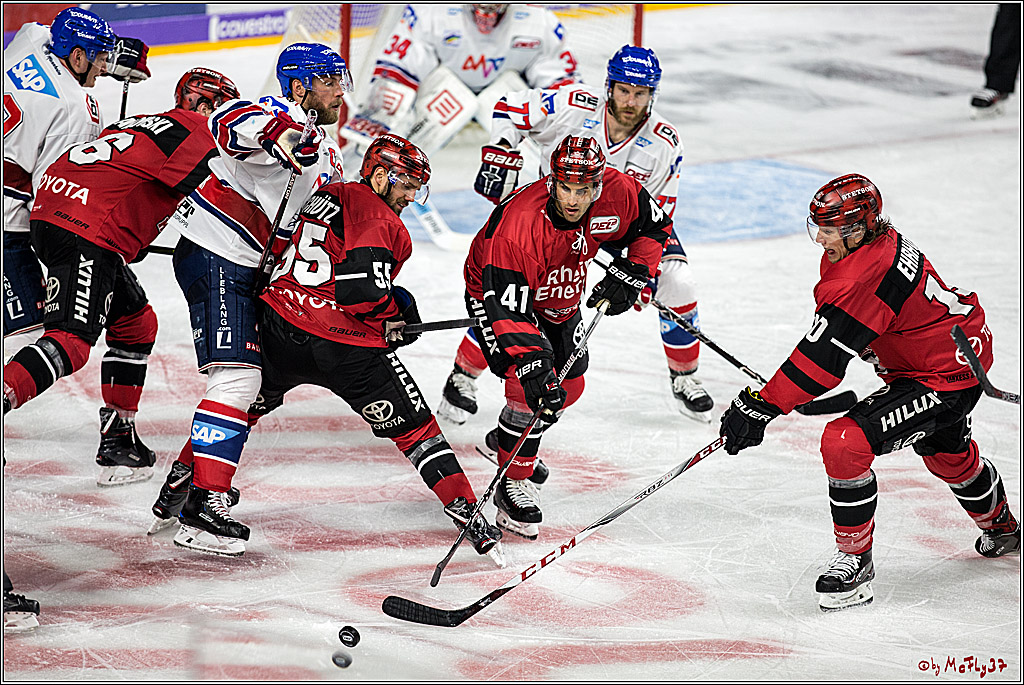DEL, Koelner Haie - Adler Mannheim, 29.10.2017