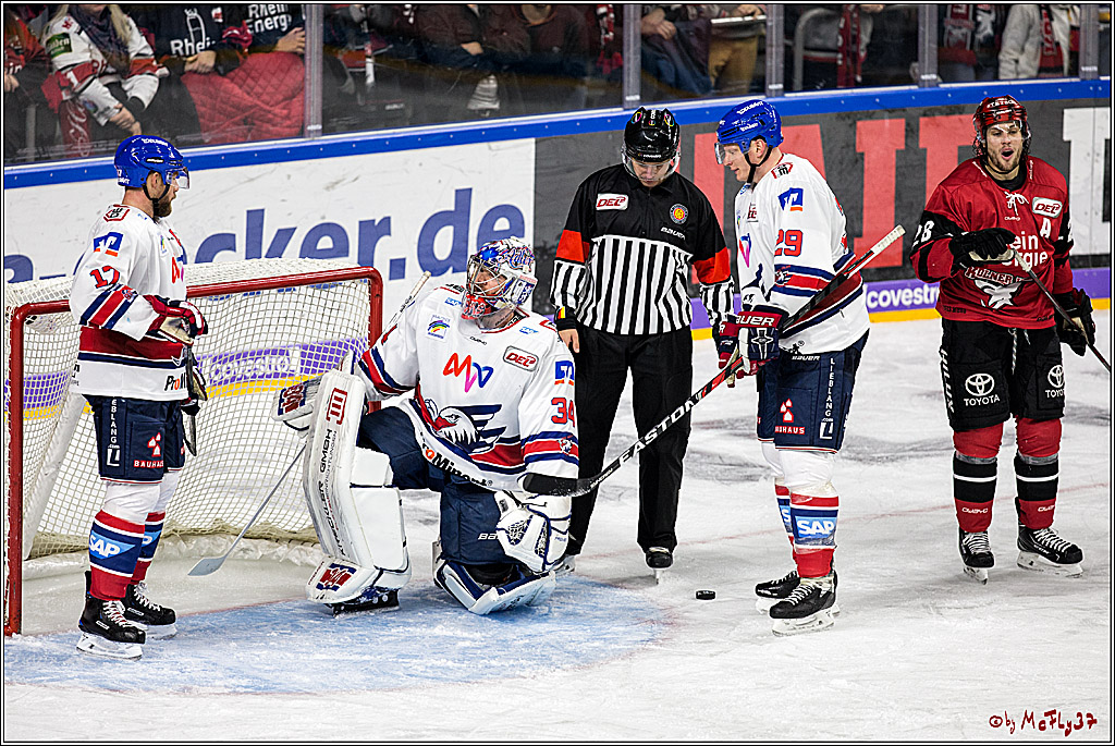 DEL, Koelner Haie - Adler Mannheim, 29.10.2017