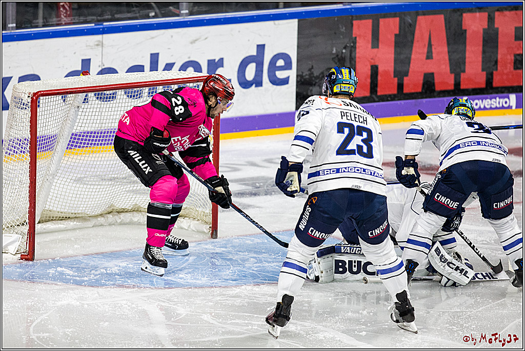DEL, Koelner Haie - ERC Ingolstadt, 31.10.2017