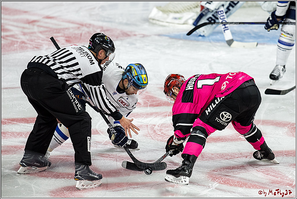 DEL, Koelner Haie - ERC Ingolstadt, 31.10.2017