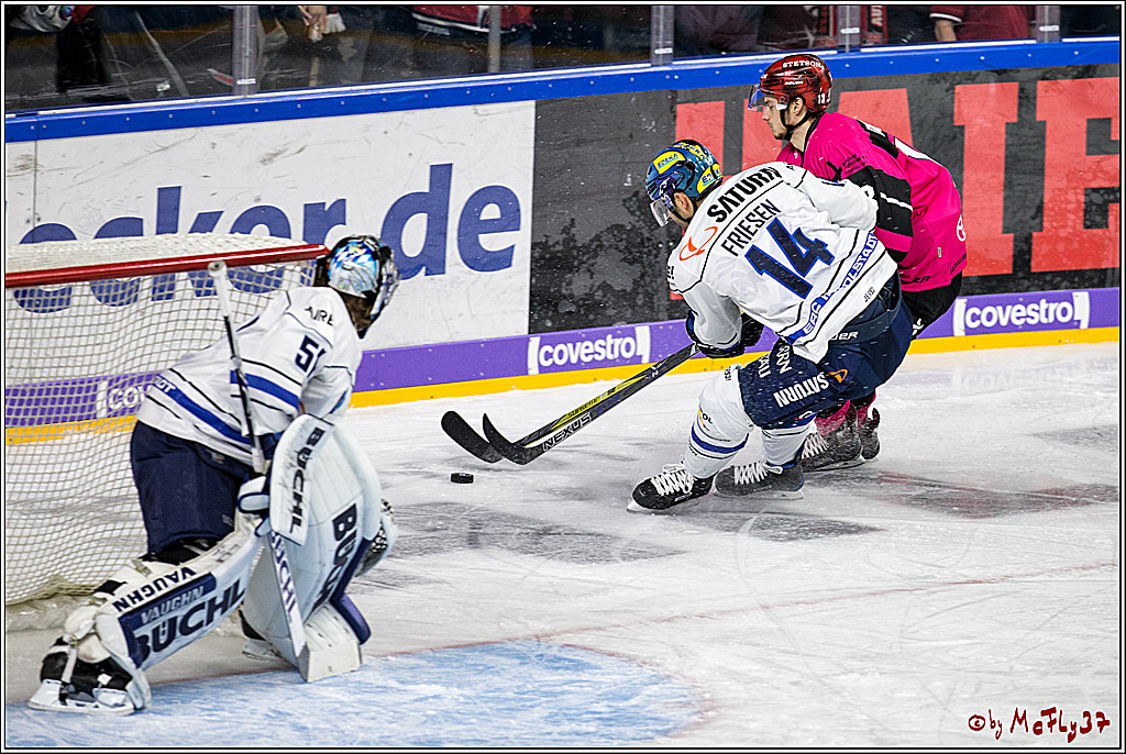 DEL, Koelner Haie - ERC Ingolstadt, 31.10.2017