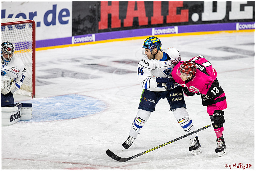DEL, Koelner Haie - ERC Ingolstadt, 31.10.2017