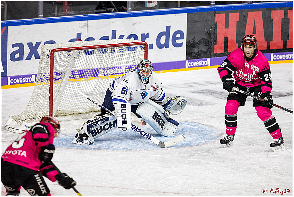 DEL, Koelner Haie - ERC Ingolstadt, 31.10.2017