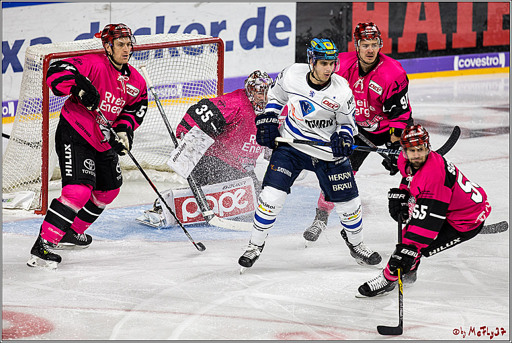 DEL, Koelner Haie - ERC Ingolstadt, 31.10.2017
