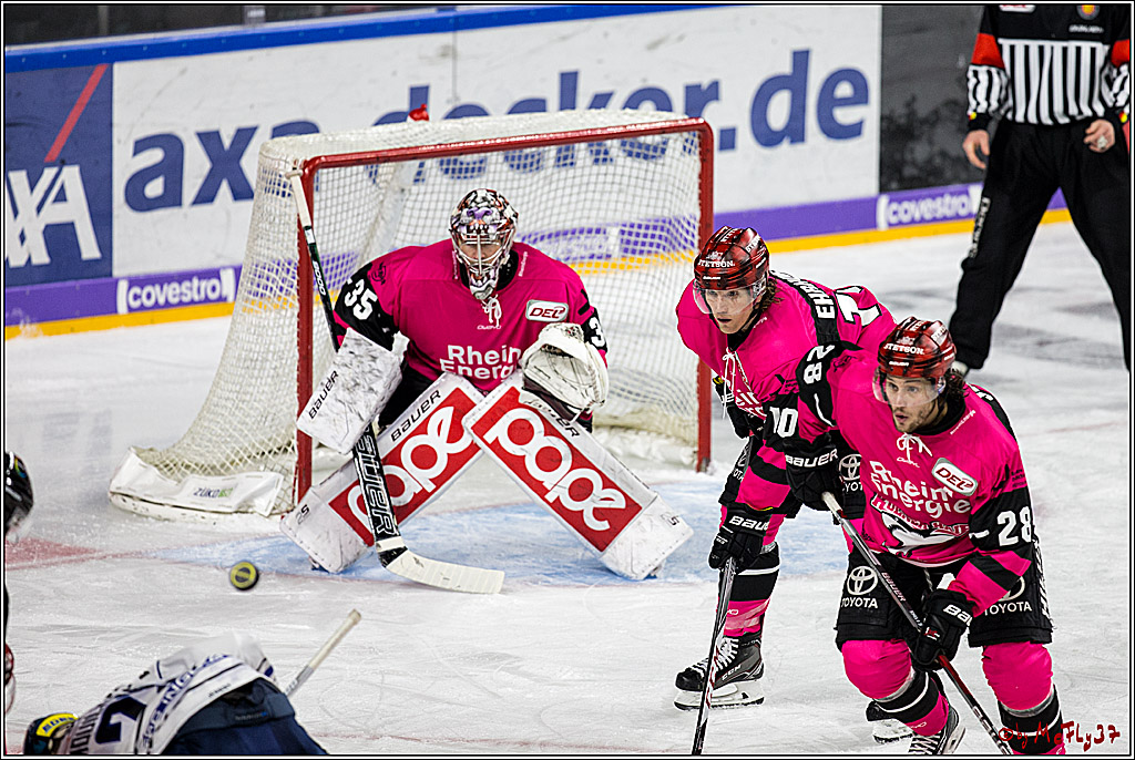DEL, Koelner Haie - ERC Ingolstadt, 31.10.2017