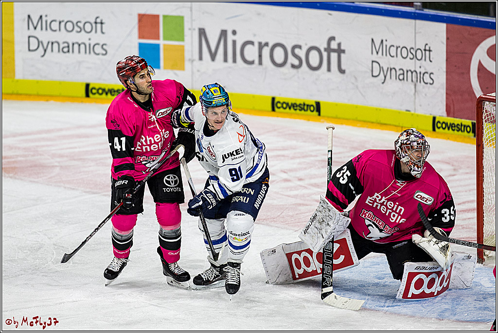 DEL, Koelner Haie - ERC Ingolstadt, 31.10.2017