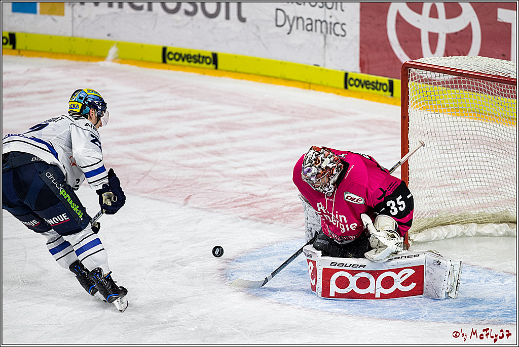 DEL, Koelner Haie - ERC Ingolstadt, 31.10.2017