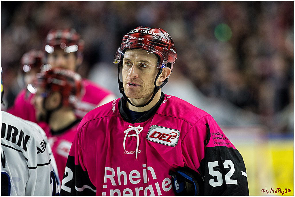 DEL, Koelner Haie - ERC Ingolstadt, 31.10.2017