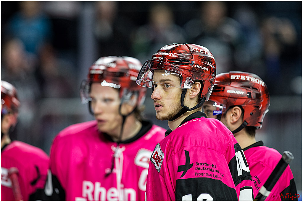 DEL, Koelner Haie - ERC Ingolstadt, 31.10.2017