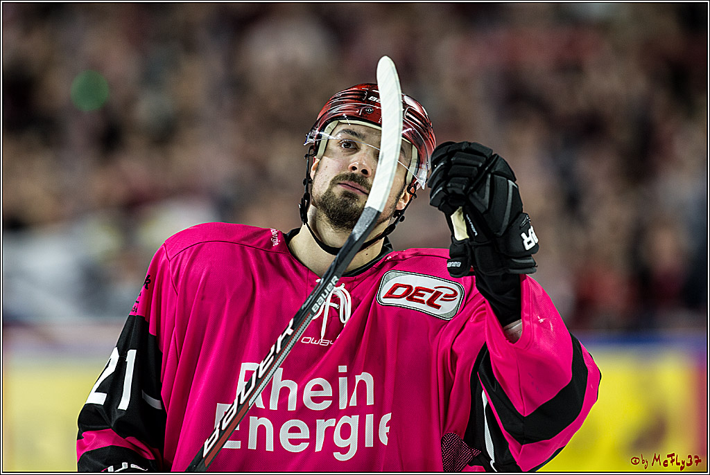 DEL, Koelner Haie - ERC Ingolstadt, 31.10.2017