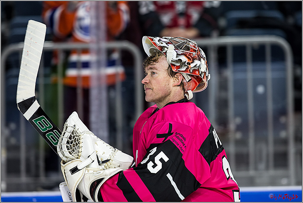DEL, Koelner Haie - ERC Ingolstadt, 31.10.2017