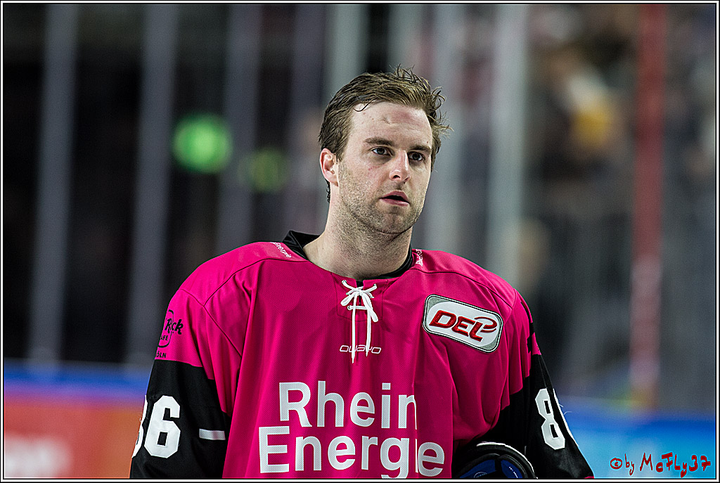 DEL, Koelner Haie - ERC Ingolstadt, 31.10.2017