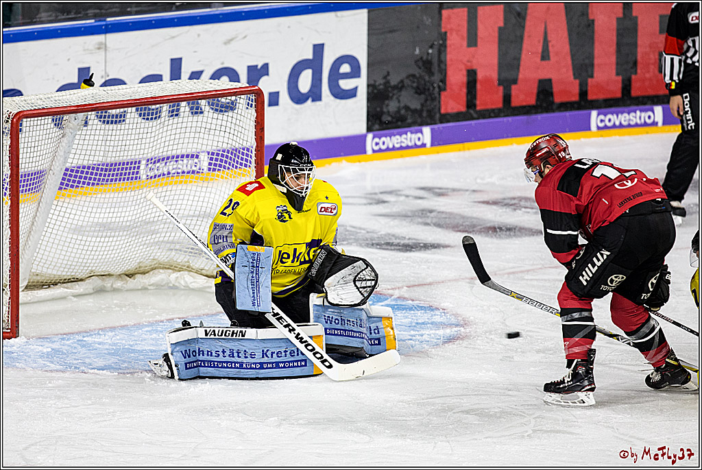 DEL, Koelner Haie - Krefeld Pinguine, 15.11.2017