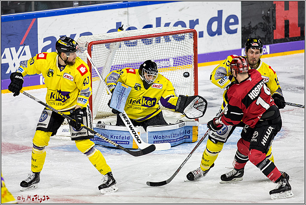 DEL, Koelner Haie - Krefeld Pinguine, 15.11.2017