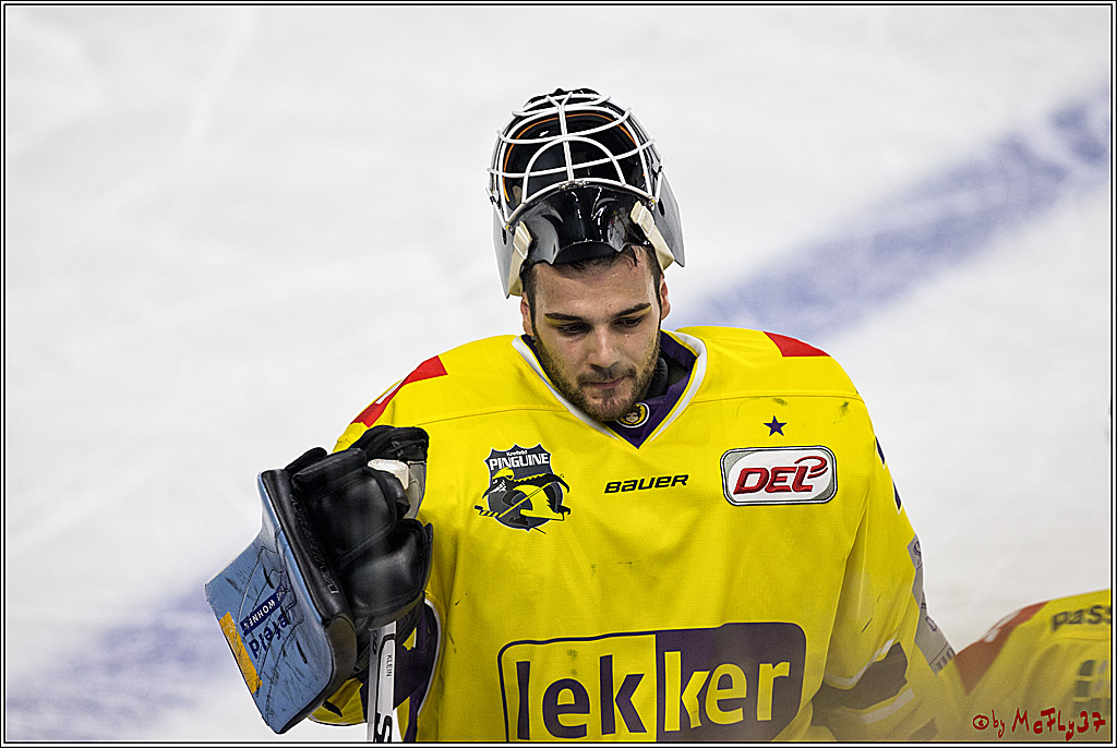 DEL, Koelner Haie - Krefeld Pinguine, 15.11.2017