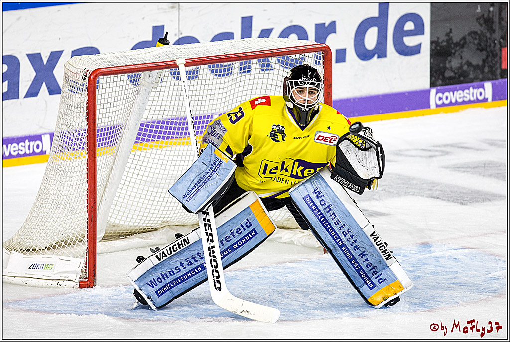 DEL, Koelner Haie - Krefeld Pinguine, 15.11.2017