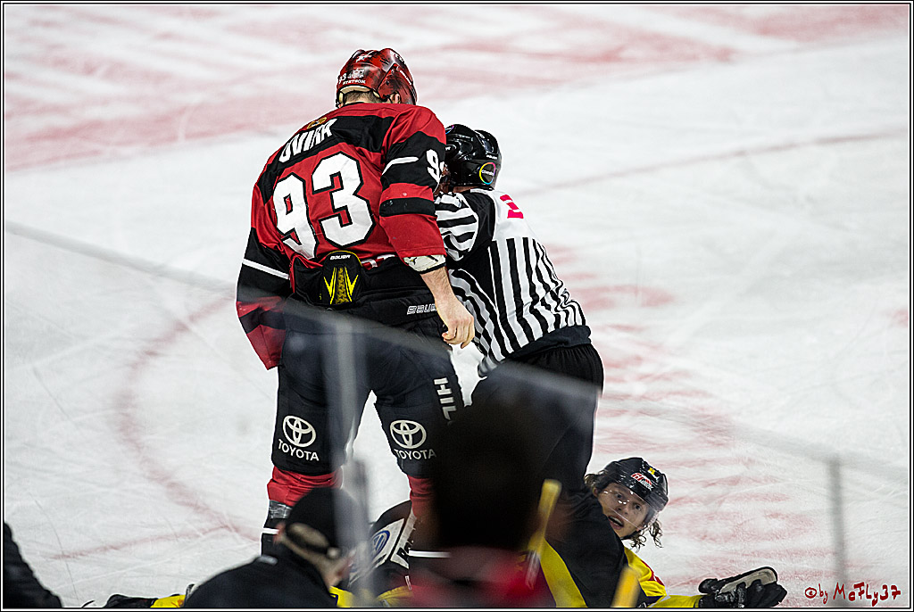 DEL, Koelner Haie - Krefeld Pinguine, 15.11.2017