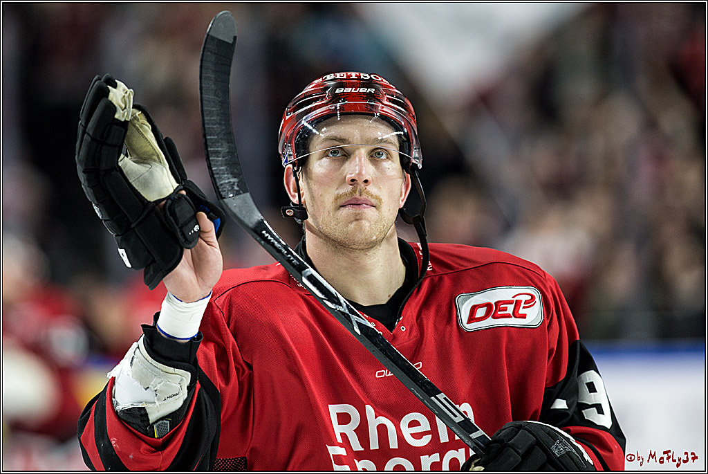 DEL, Koelner Haie - Krefeld Pinguine, 15.11.2017