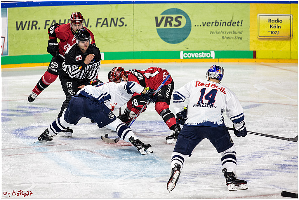 DEL, Koelner Haie - EHC Red Bull Muenchen, 19.11.2017