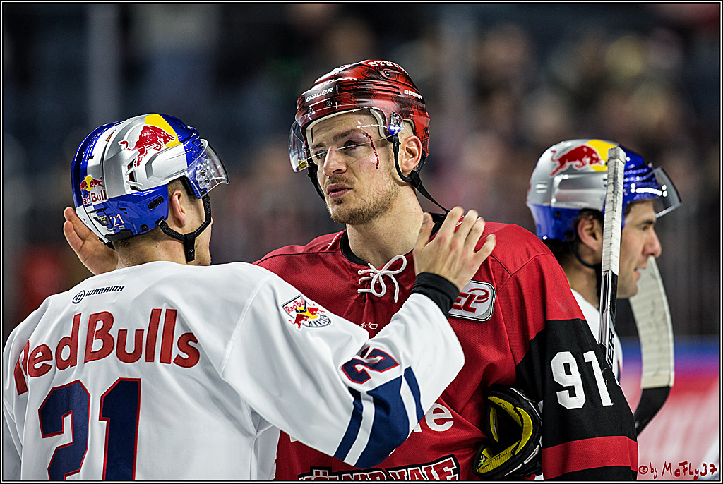 DEL, Koelner Haie - EHC Red Bull Muenchen, 19.11.2017