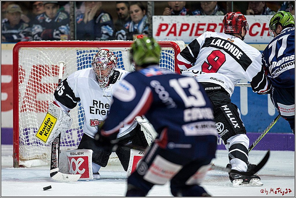 DEL, Iserlohn Roosters - Koelner Haie , 22.11.2017