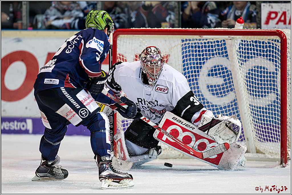 DEL, Iserlohn Roosters - Koelner Haie , 22.11.2017