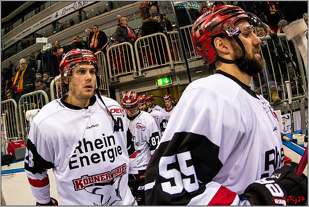 DEL, Duesseldorfer eG - Koelner Haie , 26.11.2017