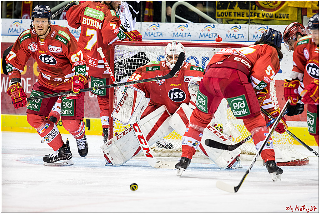 DEL, Duesseldorfer eG - Koelner Haie , 26.11.2017