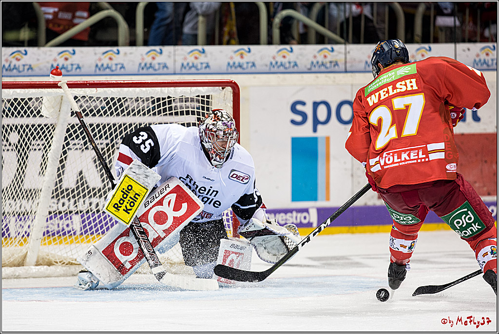 DEL, Duesseldorfer eG - Koelner Haie, 26.11.2017