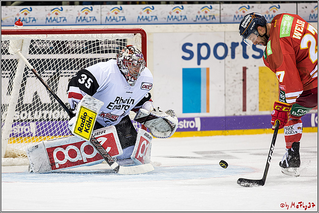 DEL, Duesseldorfer eG - Koelner Haie, 26.11.2017