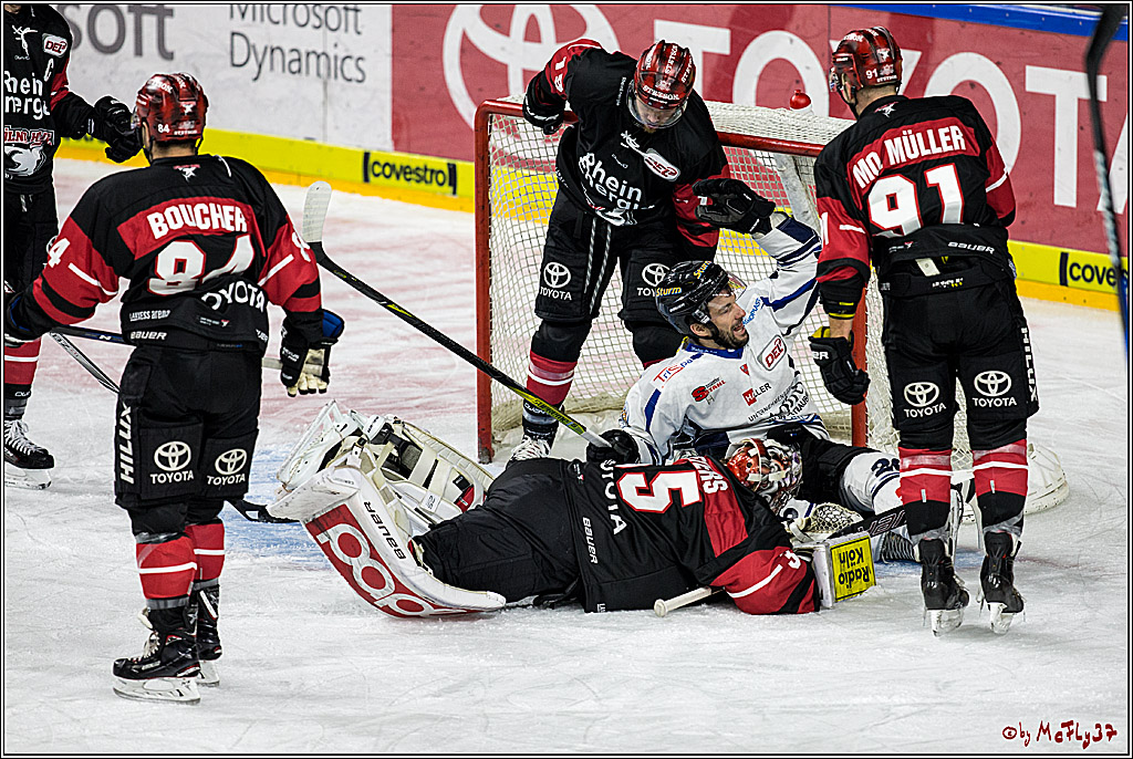 DEL, Koelner Haie - Straubing Tigers, 28.11.2017