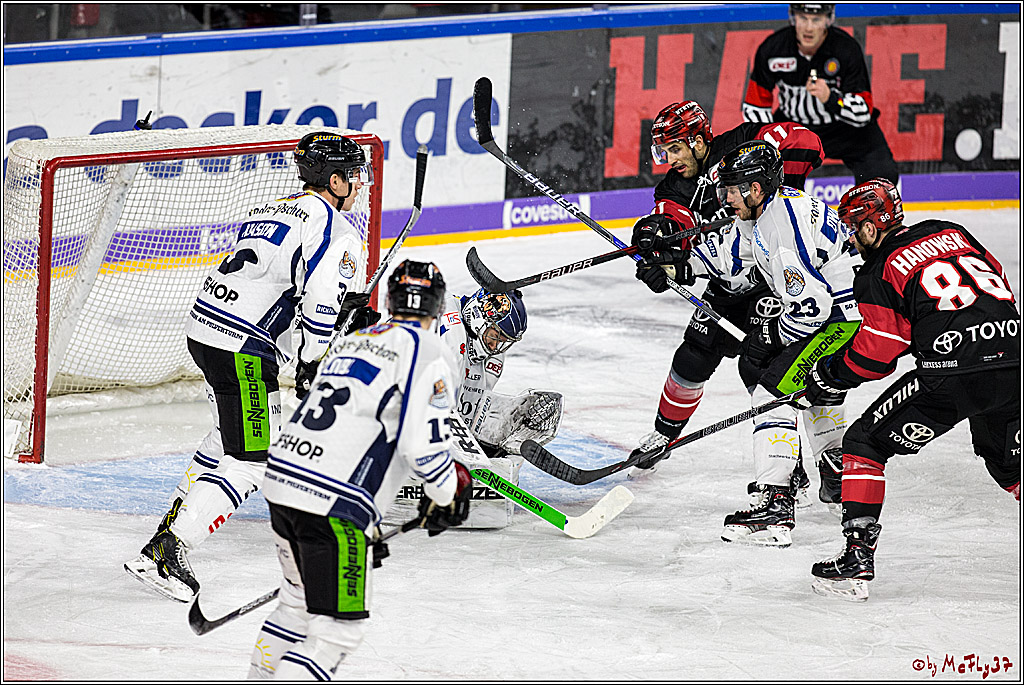 DEL, Koelner Haie - Straubing Tigers, 28.11.2017