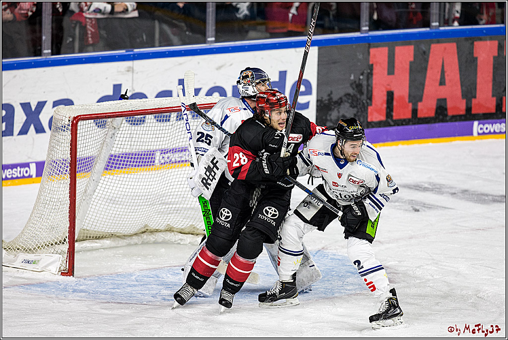 DEL, Koelner Haie - Straubing Tigers, 28.11.2017
