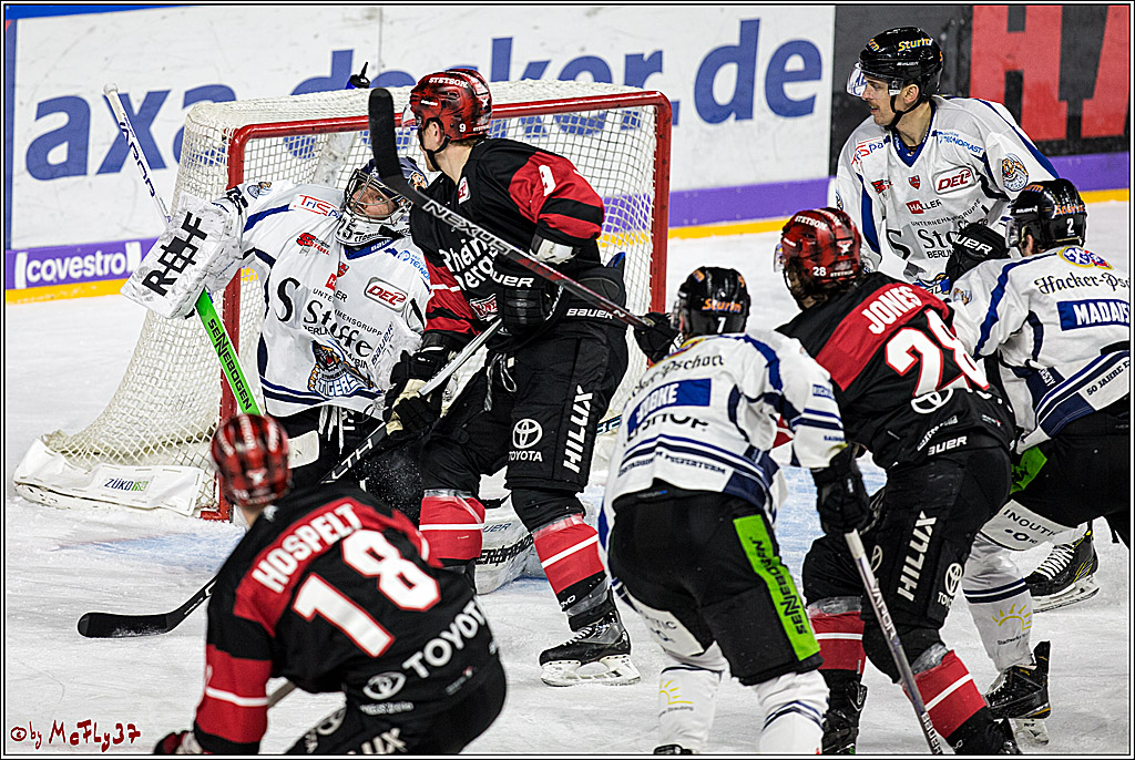 DEL, Koelner Haie - Straubing Tigers, 28.11.2017