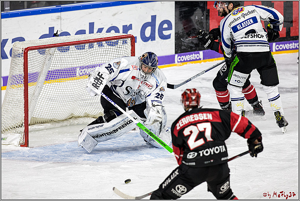 DEL, Koelner Haie - Straubing Tigers, 28.11.2017