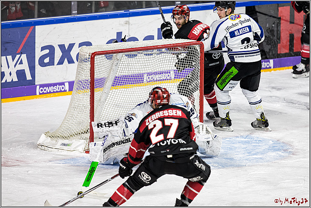 DEL, Koelner Haie - Straubing Tigers, 28.11.2017