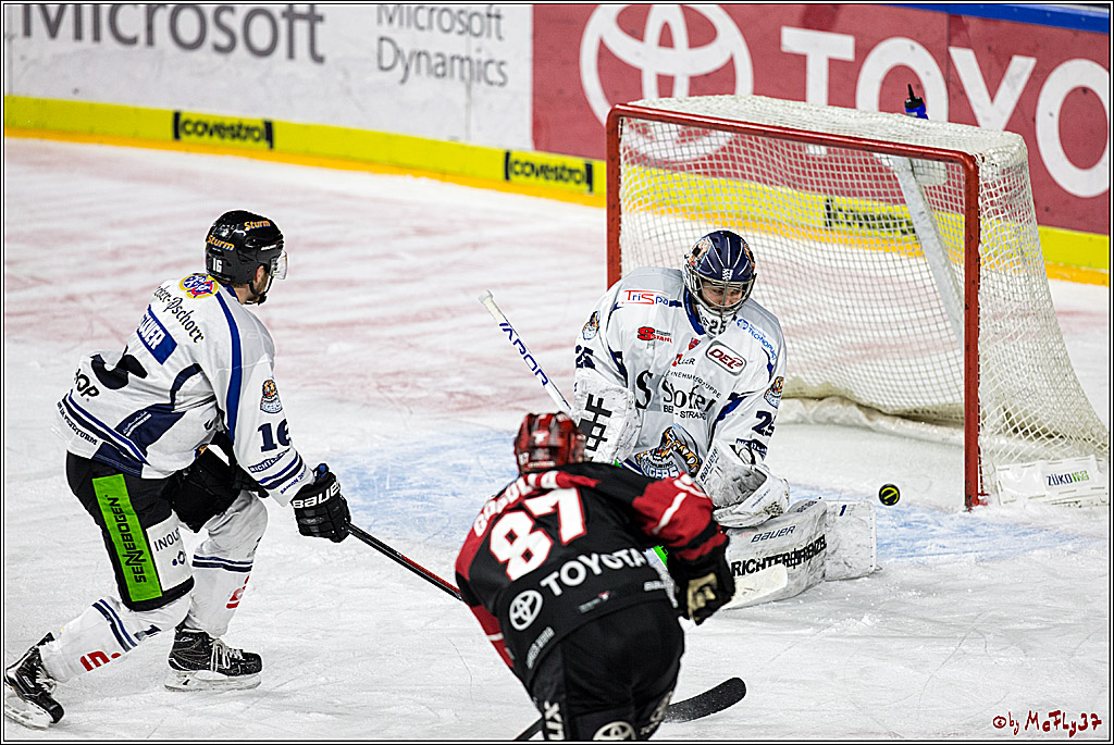 DEL, Koelner Haie - Straubing Tigers, 28.11.2017