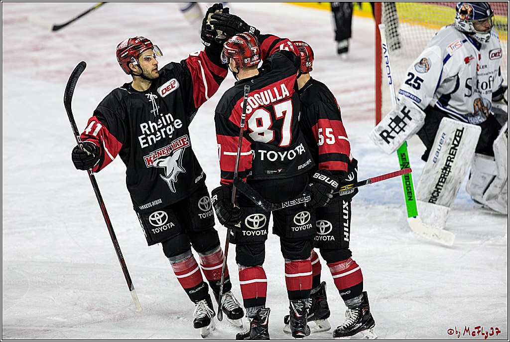 DEL, Koelner Haie - Straubing Tigers, 28.11.2017
