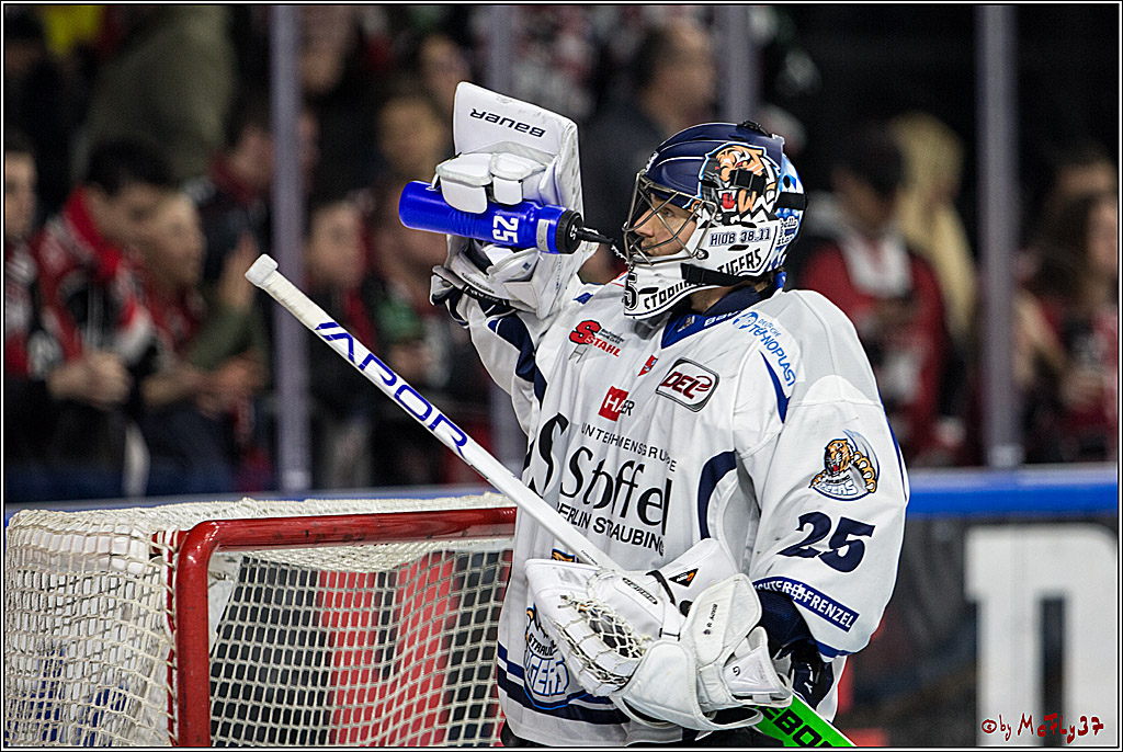 DEL, Koelner Haie - Straubing Tigers, 28.11.2017