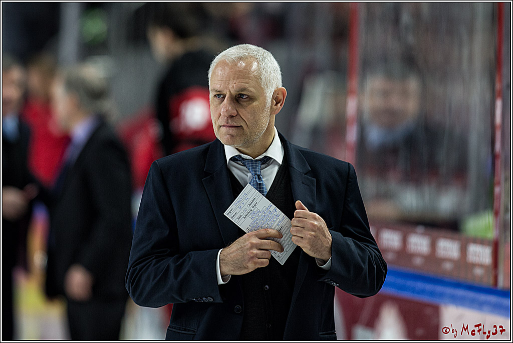 DEL, Koelner Haie - Straubing Tigers, 28.11.2017